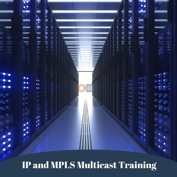 IP and MPLS Multicast Training