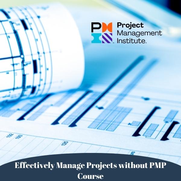 Effectively Manage Projects without PMP Course